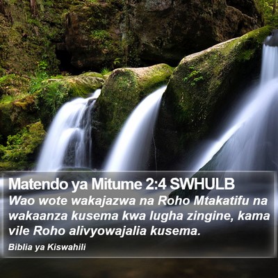 Matendo ya Mitume 2:4 SWHULB Bible Verse Image