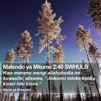 Matendo ya Mitume 2:40 SWHULB Bible Verse Image