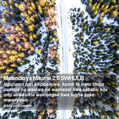 Matendo ya Mitume 2:6 SWHULB Bible Verse Image