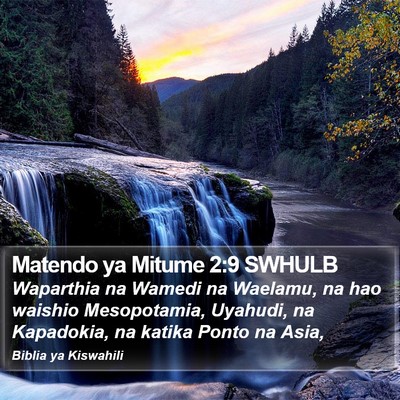 Matendo ya Mitume 2:9 SWHULB Bible Verse Image
