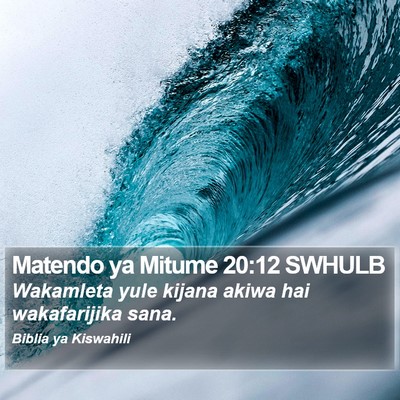 Matendo ya Mitume 20:12 SWHULB Bible Verse Image