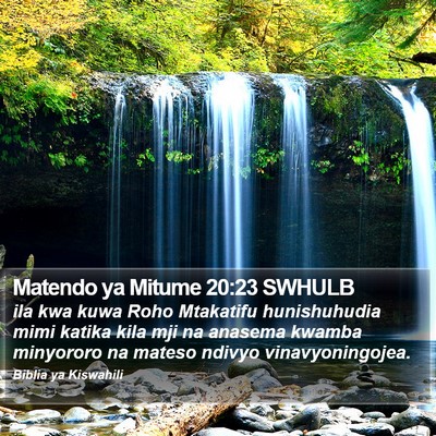 Matendo ya Mitume 20:23 SWHULB Bible Verse Image