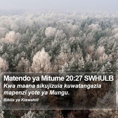 Matendo ya Mitume 20:27 SWHULB Bible Verse Image