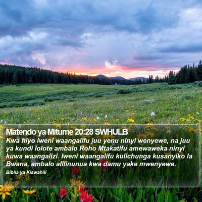 Matendo ya Mitume 20:28 SWHULB Bible Verse Image