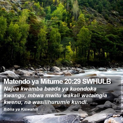 Matendo ya Mitume 20:29 SWHULB Bible Verse Image