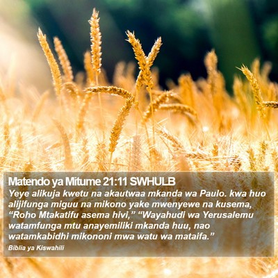 Matendo ya Mitume 21:11 SWHULB Bible Verse Image