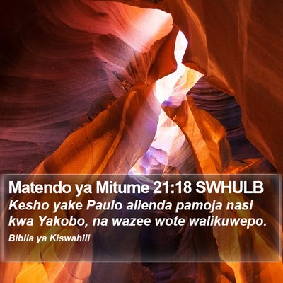 Matendo ya Mitume 21:18 SWHULB Bible Verse Image