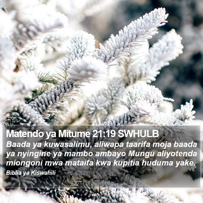 Matendo ya Mitume 21:19 SWHULB Bible Verse Image