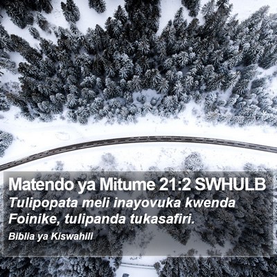 Matendo ya Mitume 21:2 SWHULB Bible Verse Image