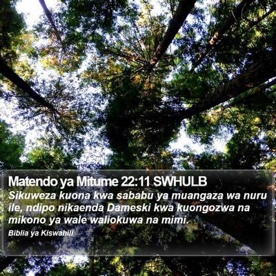 Matendo ya Mitume 22:11 SWHULB Bible Verse Image