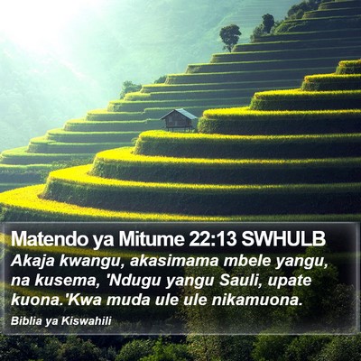 Matendo ya Mitume 22:13 SWHULB Bible Verse Image