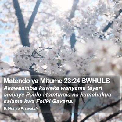 Matendo ya Mitume 23:24 SWHULB Bible Verse Image