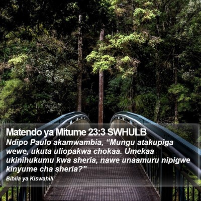 Matendo ya Mitume 23:3 SWHULB Bible Verse Image