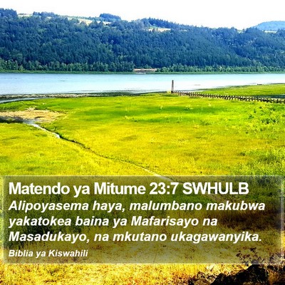 Matendo ya Mitume 23:7 SWHULB Bible Verse Image