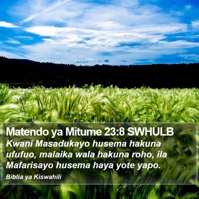 Matendo ya Mitume 23:8 SWHULB Bible Verse Image