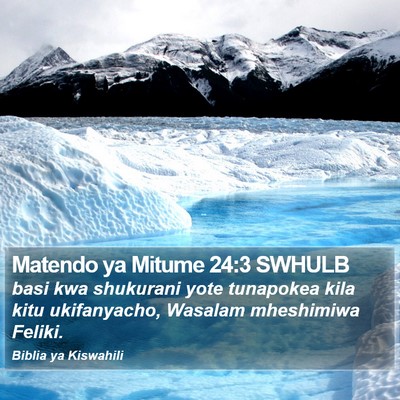 Matendo ya Mitume 24:3 SWHULB Bible Verse Image