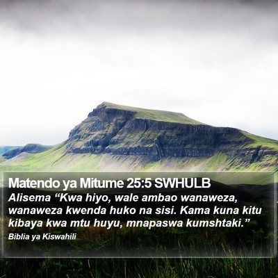 Matendo ya Mitume 25:5 SWHULB Bible Verse Image