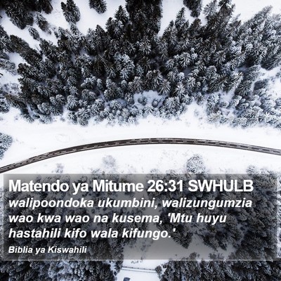 Matendo ya Mitume 26:31 SWHULB Bible Verse Image