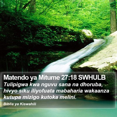 Matendo ya Mitume 27:18 SWHULB Bible Verse Image