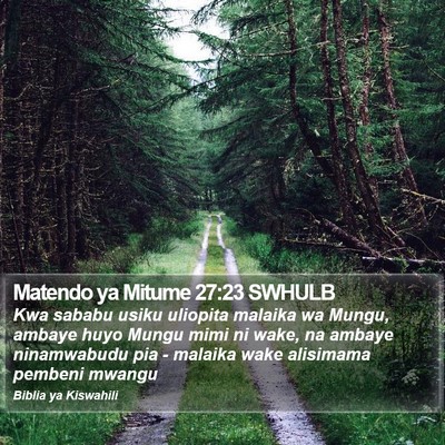 Matendo ya Mitume 27:23 SWHULB Bible Verse Image