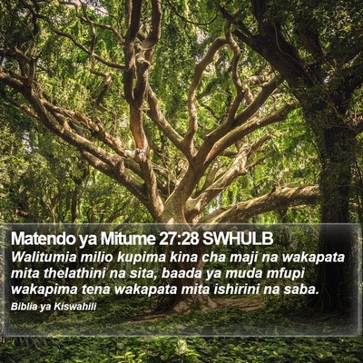 Matendo ya Mitume 27:28 SWHULB Bible Verse Image
