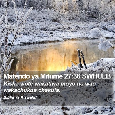 Matendo ya Mitume 27:36 SWHULB Bible Verse Image