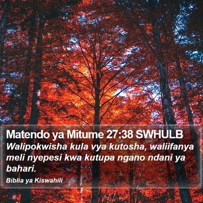Matendo ya Mitume 27:38 SWHULB Bible Verse Image