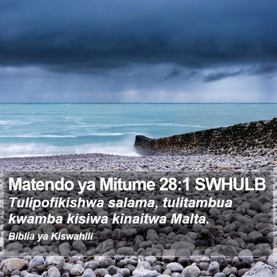 Matendo ya Mitume 28:1 SWHULB Bible Verse Image