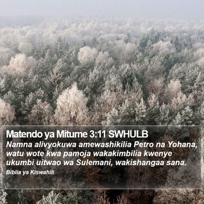 Matendo ya Mitume 3:11 SWHULB Bible Verse Image