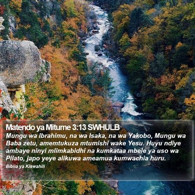 Matendo ya Mitume 3:13 SWHULB Bible Verse Image