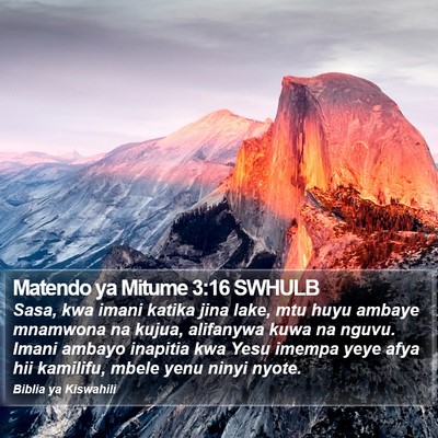 Matendo ya Mitume 3:16 SWHULB Bible Verse Image