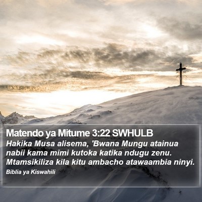 Matendo ya Mitume 3:22 SWHULB Bible Verse Image