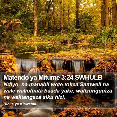Matendo ya Mitume 3:24 SWHULB Bible Verse Image