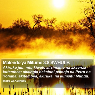 Matendo ya Mitume 3:8 SWHULB Bible Verse Image