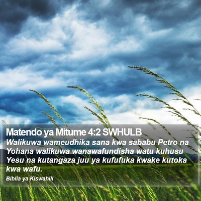 Matendo ya Mitume 4:2 SWHULB Bible Verse Image