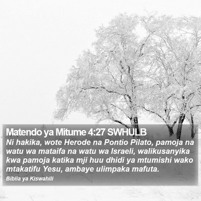 Matendo ya Mitume 4:27 SWHULB Bible Verse Image