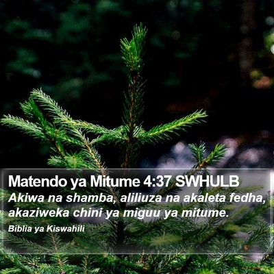 Matendo ya Mitume 4:37 SWHULB Bible Verse Image