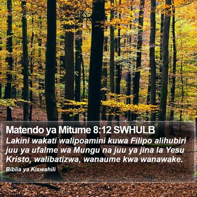 Matendo ya Mitume 8:12 SWHULB Bible Verse Image