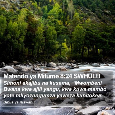 Matendo ya Mitume 8:24 SWHULB Bible Verse Image