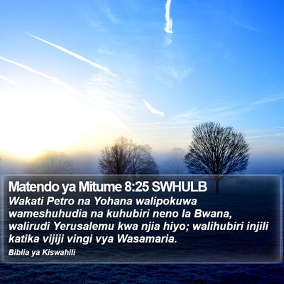 Matendo ya Mitume 8:25 SWHULB Bible Verse Image