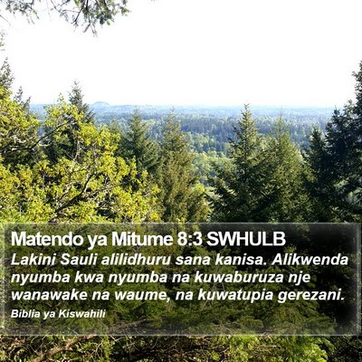 Matendo ya Mitume 8:3 SWHULB Bible Verse Image