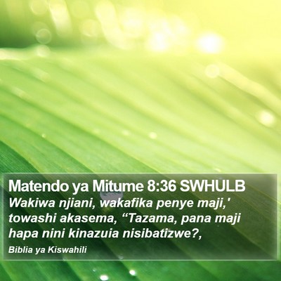 Matendo ya Mitume 8:36 SWHULB Bible Verse Image