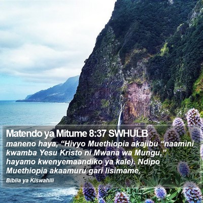 Matendo ya Mitume 8:37 SWHULB Bible Verse Image