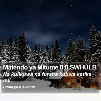 Matendo ya Mitume 8:8 SWHULB Bible Verse Image