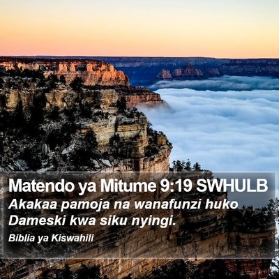 Matendo ya Mitume 9:19 SWHULB Bible Verse Image