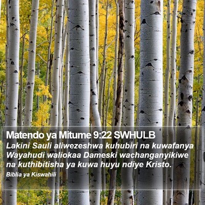 Matendo ya Mitume 9:22 SWHULB Bible Verse Image