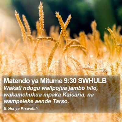 Matendo ya Mitume 9:30 SWHULB Bible Verse Image