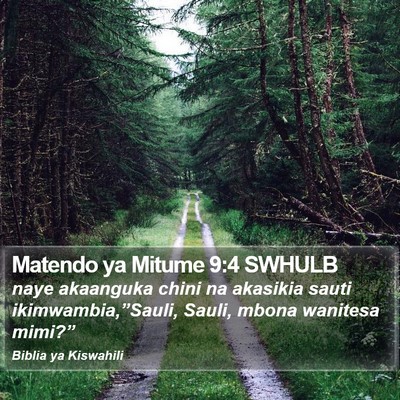 Matendo ya Mitume 9:4 SWHULB Bible Verse Image
