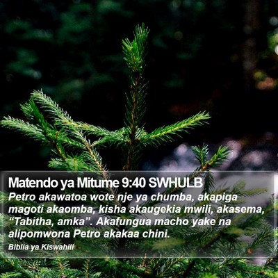 Matendo ya Mitume 9:40 SWHULB Bible Verse Image