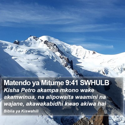 Matendo ya Mitume 9:41 SWHULB Bible Verse Image